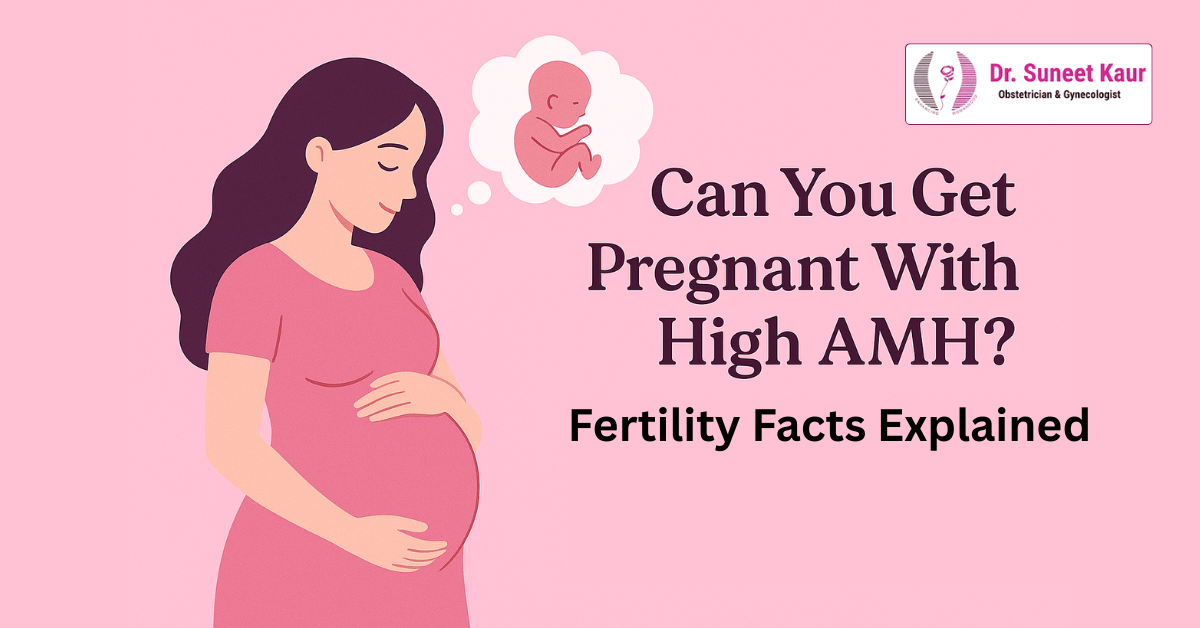 Can You Get Pregnant With High AMH? Fertility Facts You Need to Know
